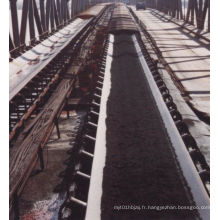 Chine PVC Coal Food Mining Chemical Rubber Belt Conveyor Price avec ISO Ce